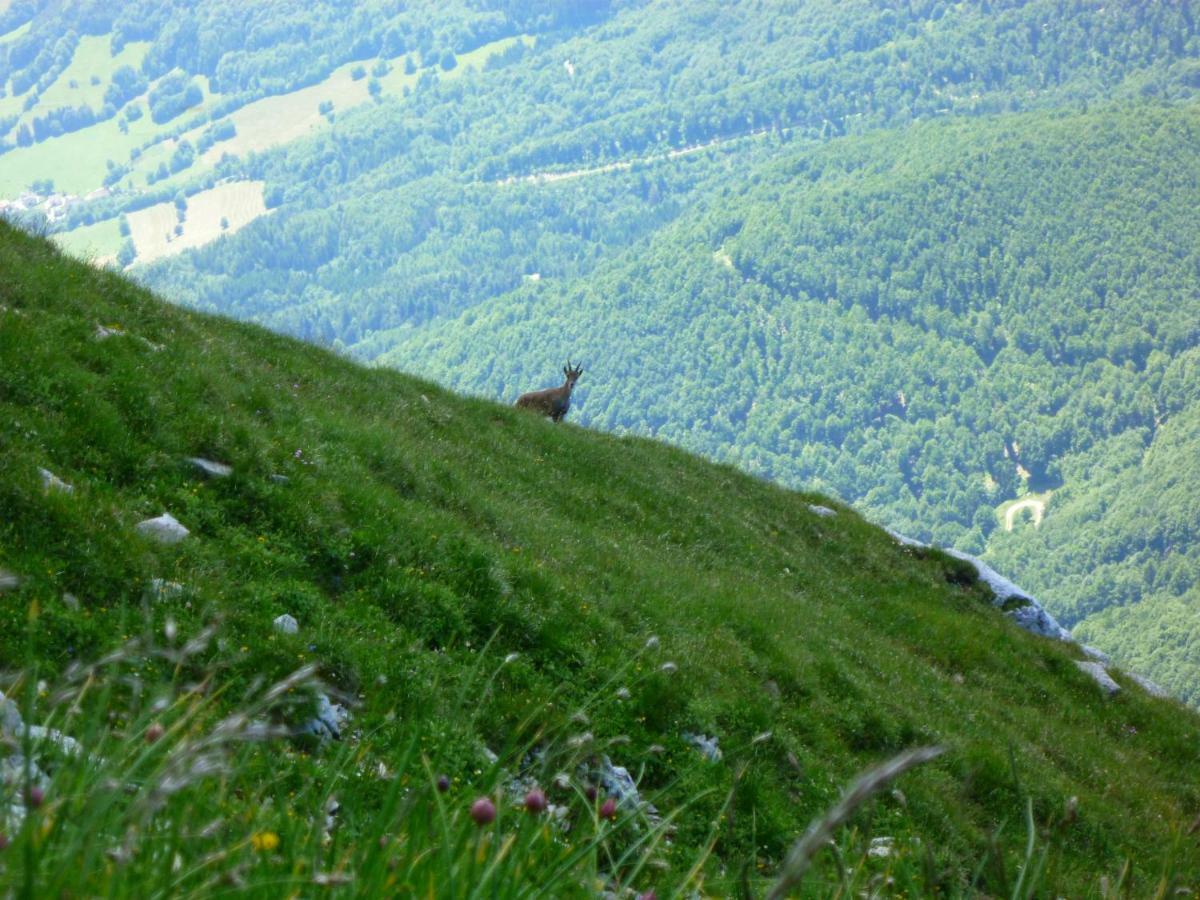 Apartmán La Moraine Villard-de-Lans Exteriér fotografie